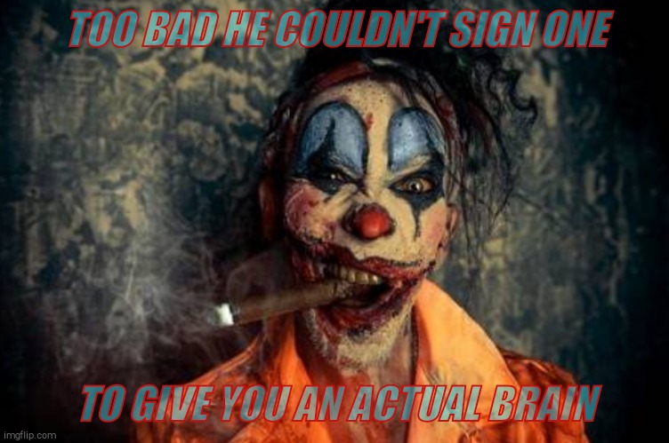 w | TOO BAD HE COULDN'T SIGN ONE TO GIVE YOU AN ACTUAL BRAIN | made w/ Imgflip meme maker