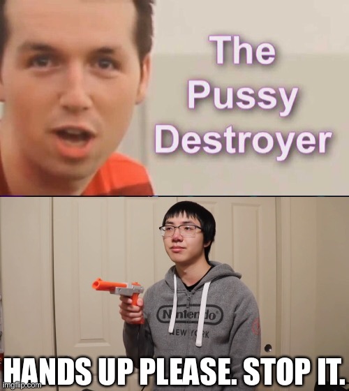 The pussy undestroyer | HANDS UP PLEASE. STOP IT. | image tagged in pussy destroyer,plainrock124 with 3 fingers | made w/ Imgflip meme maker