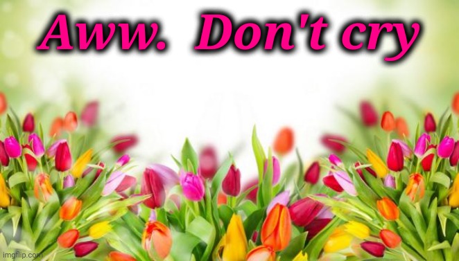 flowers | Aww.  Don't cry | image tagged in flowers | made w/ Imgflip meme maker