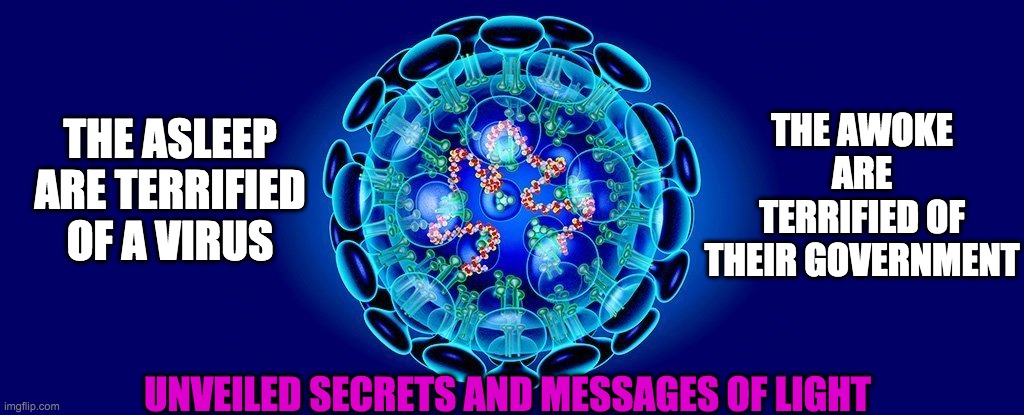 corona virus | THE AWOKE ARE TERRIFIED OF THEIR GOVERNMENT; THE ASLEEP ARE TERRIFIED OF A VIRUS; UNVEILED SECRETS AND MESSAGES OF LIGHT | image tagged in corona virus | made w/ Imgflip meme maker