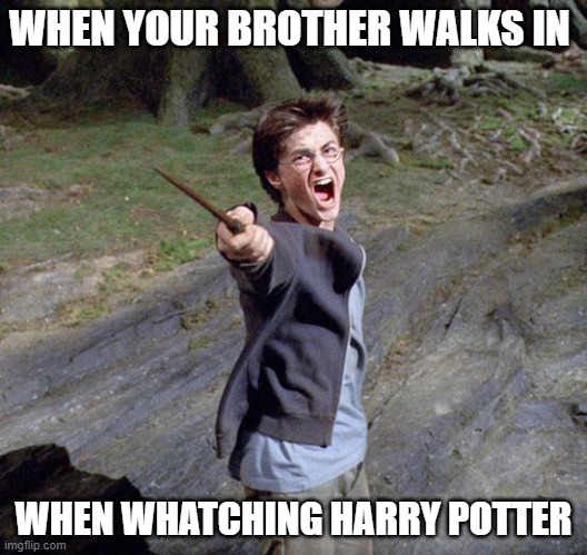Harry potter | WHEN YOUR BROTHER WALKS IN; WHEN WHATCHING HARRY POTTER | image tagged in harry potter | made w/ Imgflip meme maker