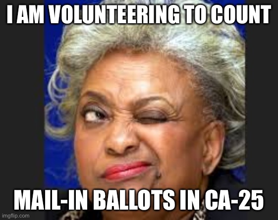 I just wanna HELP! | I AM VOLUNTEERING TO COUNT; MAIL-IN BALLOTS IN CA-25 | image tagged in brenda snipes wink wink,government corruption,vote fraud | made w/ Imgflip meme maker