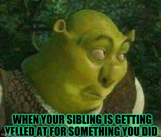 Funny Memes on X: When Shrek made his debut #Memes #meme   / X