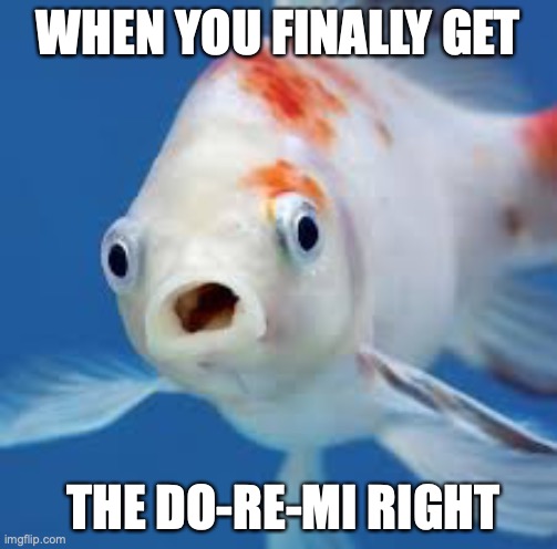 When You Finally Get The Do-Re-MI Right | WHEN YOU FINALLY GET; THE DO-RE-MI RIGHT | image tagged in surprised fish | made w/ Imgflip meme maker