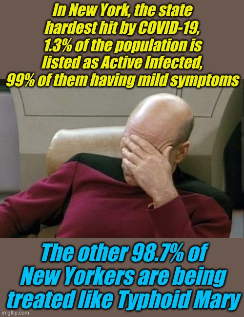 Should we panic? I mean really panic, like hide in our houses, not show up for work and count on government experts to save us? | In New York, the state hardest hit by COVID-19, 1.3% of the population is listed as Active Infected, 99% of them having mild symptoms; The other 98.7% of New Yorkers are being treated like Typhoid Mary | image tagged in memes,captain picard facepalm | made w/ Imgflip meme maker