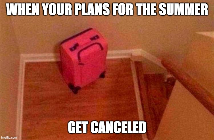 Poor suitcase | WHEN YOUR PLANS FOR THE SUMMER; GET CANCELED | image tagged in memes,funny,summer,cancelled,covid-19,coronavirus | made w/ Imgflip meme maker