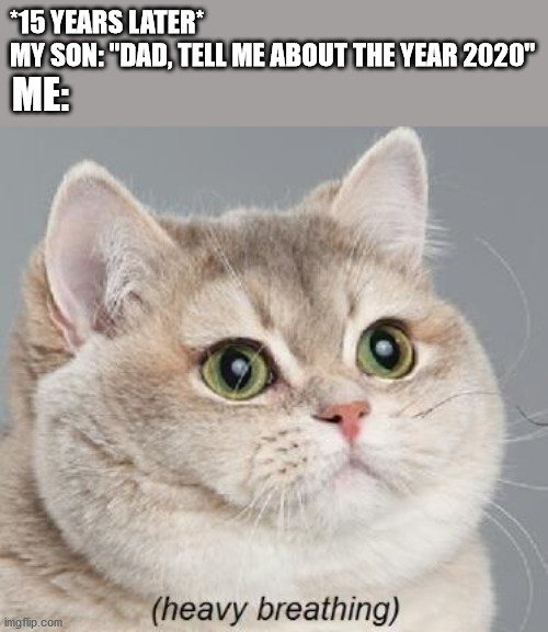 Heavy Breathing Cat Meme | *15 YEARS LATER*
MY SON: "DAD, TELL ME ABOUT THE YEAR 2020"; ME: | image tagged in memes,heavy breathing cat | made w/ Imgflip meme maker