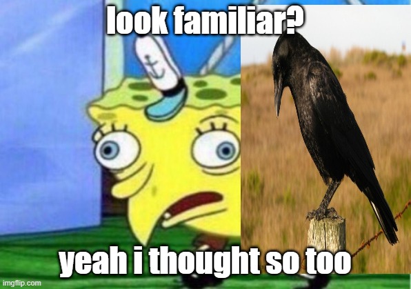 sponge bob = crow?? | look familiar? yeah i thought so too | image tagged in memes,mocking spongebob | made w/ Imgflip meme maker