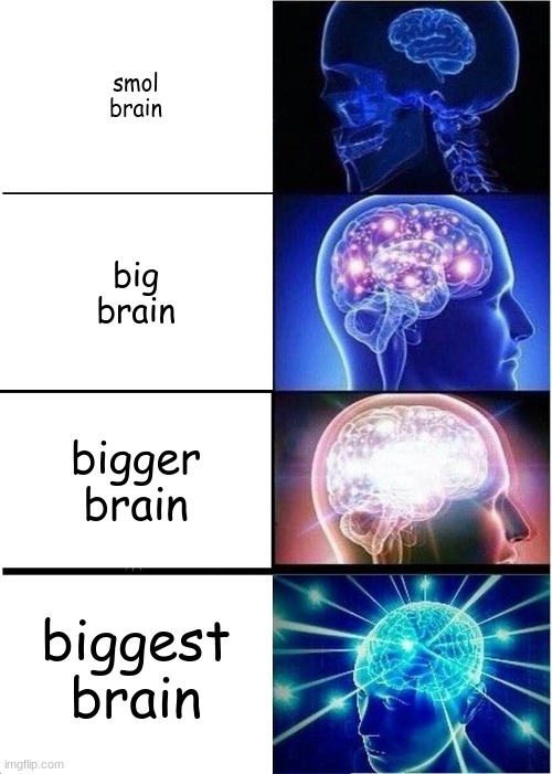 Brain Size Chart | smol brain; big brain; bigger brain; biggest brain | image tagged in memes,expanding brain,brain,yeet,the human body,donald trump small brain | made w/ Imgflip meme maker