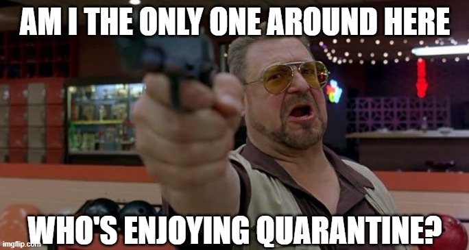 I legitimately like quarantine better than normal life now. | AM I THE ONLY ONE AROUND HERE; WHO'S ENJOYING QUARANTINE? | image tagged in memes,am i the only one around here,quarantine,social distancing,having fun,unpopular opinion | made w/ Imgflip meme maker
