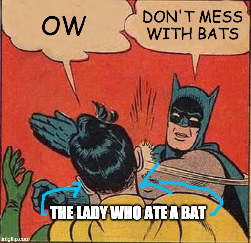 Batman Slapping Robin | OW; DON'T MESS WITH BATS; THE LADY WHO ATE A BAT | image tagged in memes,batman slapping robin | made w/ Imgflip meme maker