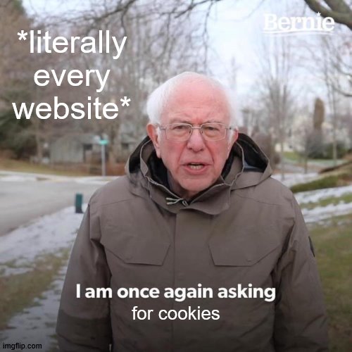 Bernie I Am Once Again Asking For Your Support Meme | *literally every website*; for cookies | image tagged in memes,bernie i am once again asking for your support | made w/ Imgflip meme maker