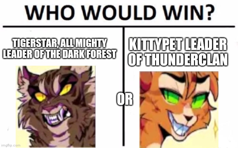 Who Would Win? Meme | KITTYPET LEADER OF THUNDERCLAN; TIGERSTAR, ALL MIGHTY LEADER OF THE DARK FOREST; OR | image tagged in memes,who would win | made w/ Imgflip meme maker