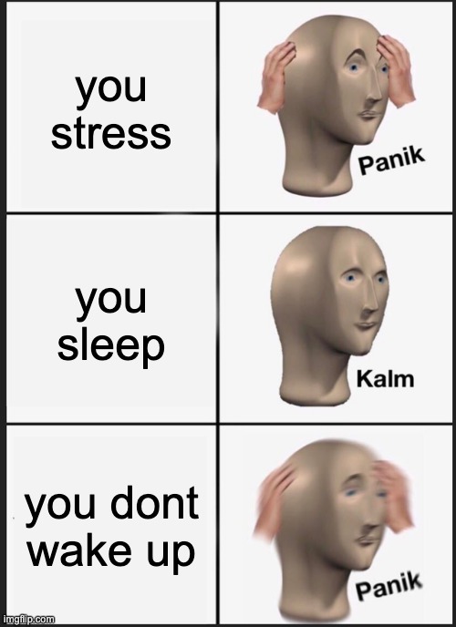 Panik Kalm Panik | you stress; you sleep; you dont wake up | image tagged in memes,panik kalm panik | made w/ Imgflip meme maker