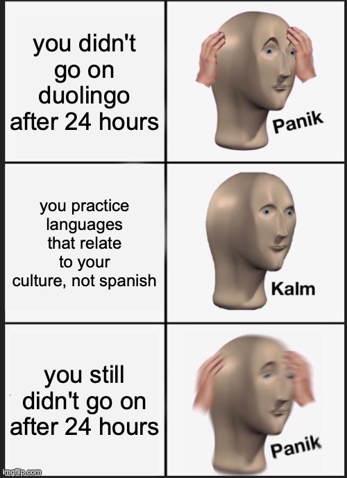 Panik Kalm Panik | you didn't go on duolingo after 24 hours; you practice languages that relate to your culture, not spanish; you still didn't go on after 24 hours | image tagged in memes,panik kalm panik | made w/ Imgflip meme maker