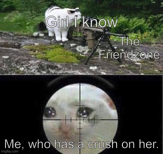 The reality of the friendzone. | Girl I know; The Friendzone; Me, who has a crush on her. | image tagged in sniper cat | made w/ Imgflip meme maker