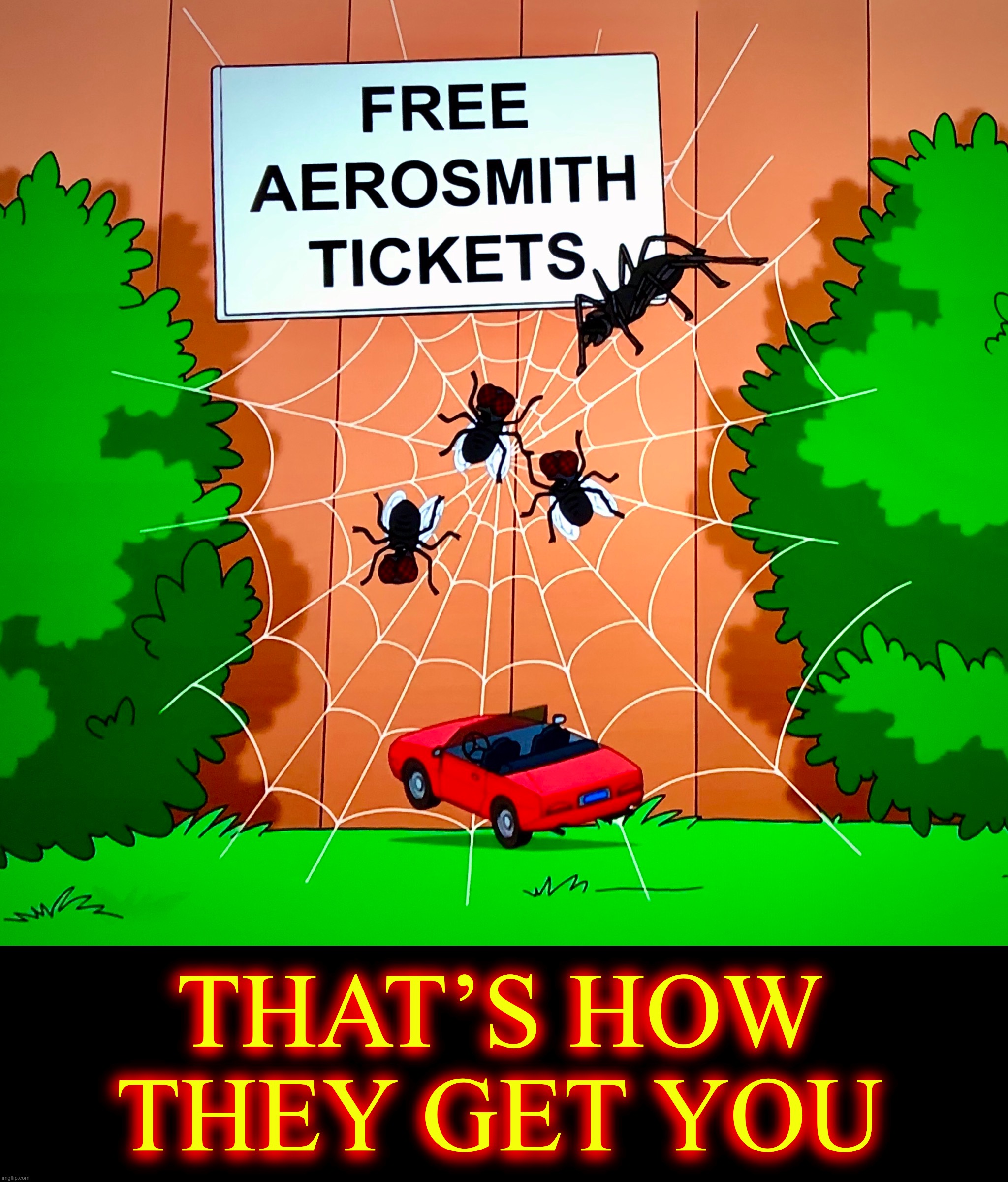Spiders are Smart | THAT’S HOW THEY GET YOU | image tagged in spiders,flies,memes,cartoon,funny,aerosmith | made w/ Imgflip meme maker