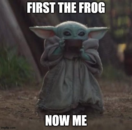 Baby Y drinking | FIRST THE FROG; NOW ME | image tagged in baby y drinking | made w/ Imgflip meme maker