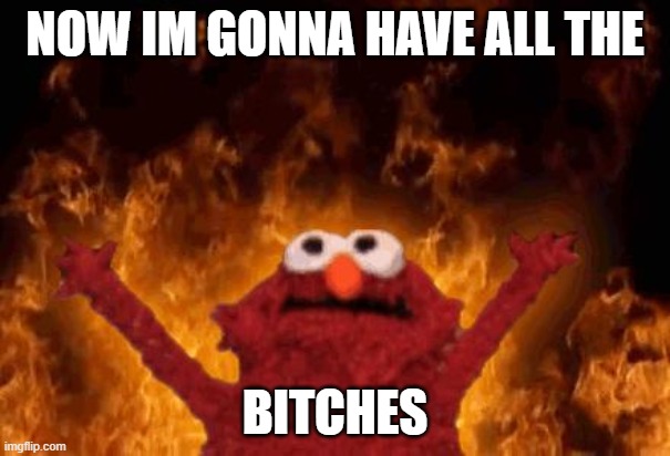 elmo maligno | NOW IM GONNA HAVE ALL THE; BITCHES | image tagged in elmo maligno | made w/ Imgflip meme maker