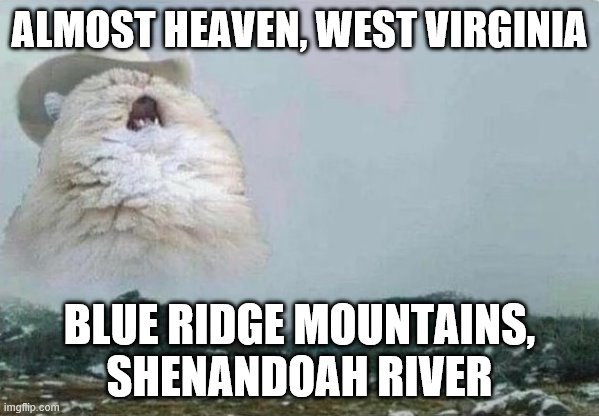 IMgflip Sings Take Me Home, Country Roads | ALMOST HEAVEN, WEST VIRGINIA; BLUE RIDGE MOUNTAINS, SHENANDOAH RIVER | image tagged in country cat | made w/ Imgflip meme maker