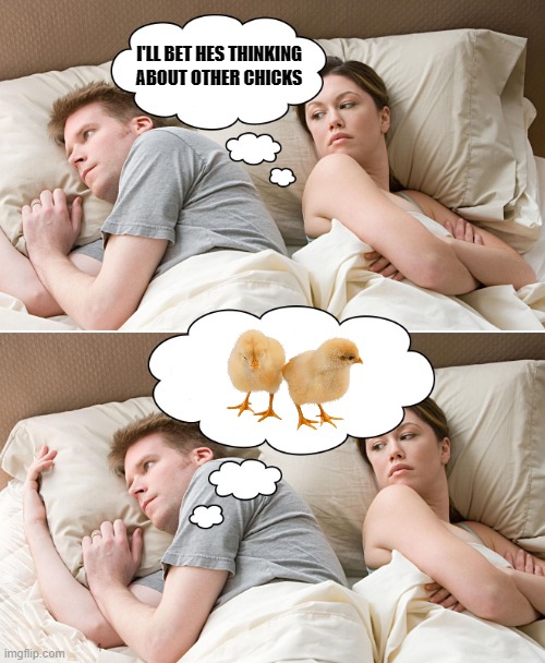 hummmmm | I'LL BET HES THINKING ABOUT OTHER CHICKS | image tagged in chicks,girls | made w/ Imgflip meme maker