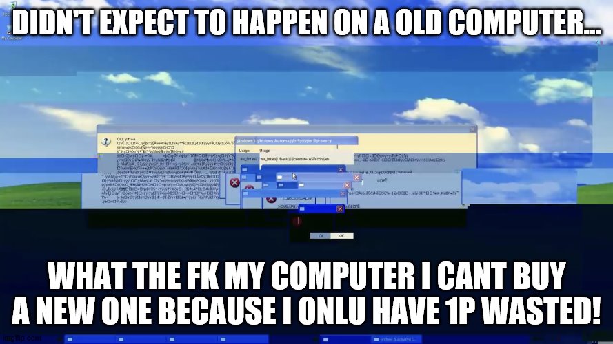 xp exe | DIDN'T EXPECT TO HAPPEN ON A OLD COMPUTER... WHAT THE FK MY COMPUTER I CANT BUY A NEW ONE BECAUSE I ONLU HAVE 1P WASTED! | image tagged in exe | made w/ Imgflip meme maker