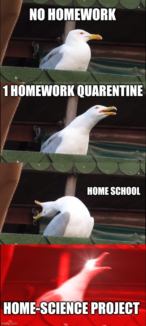 Inhaling Seagull | NO HOMEWORK; 1 HOMEWORK QUARENTINE; HOME SCHOOL; HOME-SCIENCE PROJECT | image tagged in memes,inhaling seagull | made w/ Imgflip meme maker