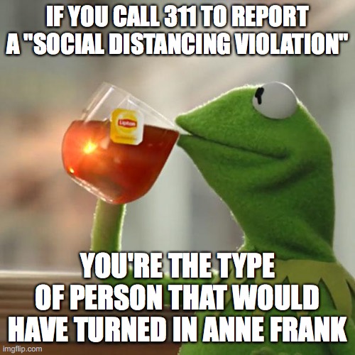 Snitches are worthless pieces of green slimy pond scum. | IF YOU CALL 311 TO REPORT A "SOCIAL DISTANCING VIOLATION"; YOU'RE THE TYPE OF PERSON THAT WOULD HAVE TURNED IN ANNE FRANK | image tagged in memes,but that's none of my business,kermit the frog,snitch,social distancing,tyranny | made w/ Imgflip meme maker