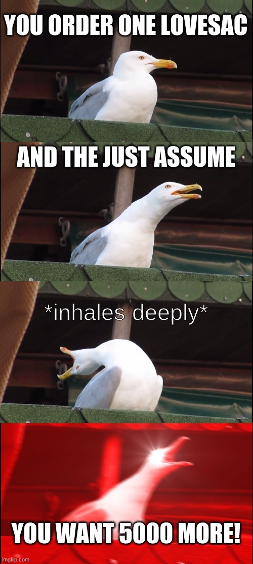 Inhaling Seagull Meme | YOU ORDER ONE LOVESAC; AND THE JUST ASSUME; *inhales deeply*; YOU WANT 5000 MORE! | image tagged in memes,inhaling seagull,deep thoughts | made w/ Imgflip meme maker