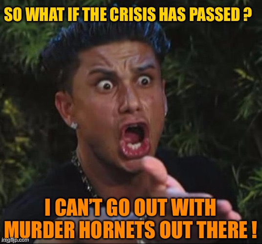 for crying out loud | SO WHAT IF THE CRISIS HAS PASSED ? I CAN’T GO OUT WITH MURDER HORNETS OUT THERE ! | image tagged in for crying out loud | made w/ Imgflip meme maker