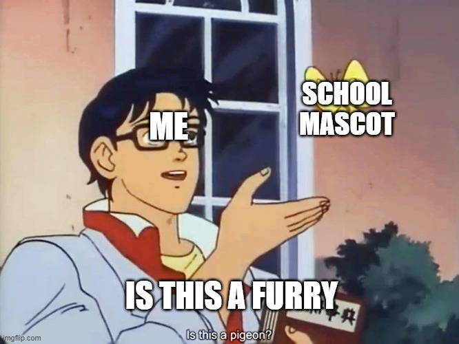 ANIME BUTTERFLY MEME | SCHOOL MASCOT; ME; IS THIS A FURRY | image tagged in anime butterfly meme | made w/ Imgflip meme maker