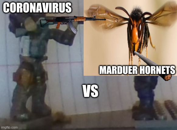 haha | CORONAVIRUS; MARDUER HORNETS; VS | image tagged in funny | made w/ Imgflip meme maker