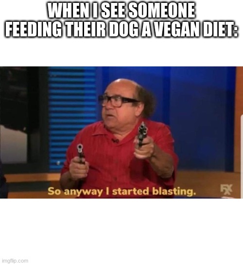 Started blasting | WHEN I SEE SOMEONE FEEDING THEIR DOG A VEGAN DIET: | image tagged in started blasting | made w/ Imgflip meme maker