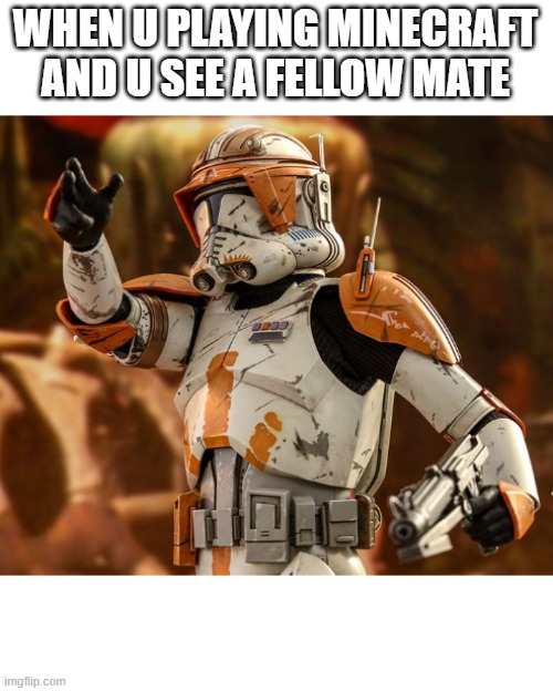 Commander cody and his mates | WHEN U PLAYING MINECRAFT AND U SEE A FELLOW MATE | image tagged in star wars | made w/ Imgflip meme maker