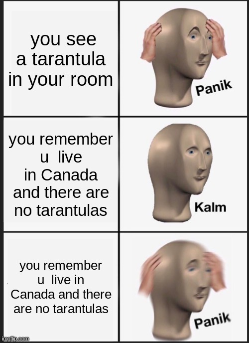 Panik Kalm Panik | you see a tarantula in your room; you remember u  live in Canada and there are no tarantulas; you remember u  live in Canada and there are no tarantulas | image tagged in memes,panik kalm panik | made w/ Imgflip meme maker