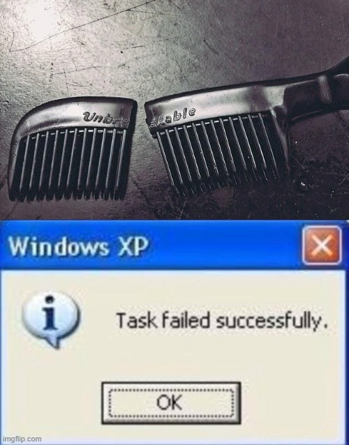 Unbreakable | image tagged in task failed successfully,memes,funny,broken,windows | made w/ Imgflip meme maker