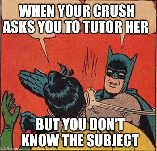 Batman Slapping Robin Meme | WHEN YOUR CRUSH ASKS YOU TO TUTOR HER; BUT YOU DON'T KNOW THE SUBJECT | image tagged in memes,batman slapping robin | made w/ Imgflip meme maker