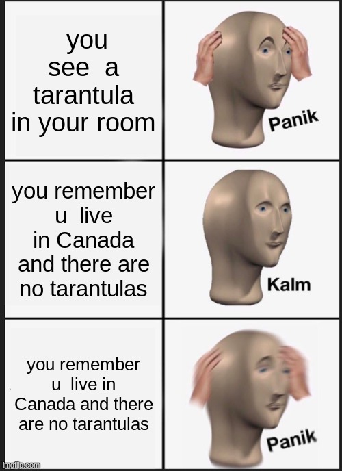Panik Kalm Panik | you see  a tarantula in your room; you remember u  live in Canada and there are no tarantulas; you remember u  live in Canada and there are no tarantulas | image tagged in memes,panik kalm panik | made w/ Imgflip meme maker