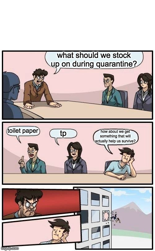 help | what should we stock up on during quarantine? toilet paper; tp; how about we get something that will actually help us survive? | image tagged in memes,boardroom meeting suggestion,toilet paper | made w/ Imgflip meme maker