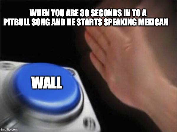 Blank Nut Button Meme | WHEN YOU ARE 30 SECONDS IN TO A PITBULL SONG AND HE STARTS SPEAKING MEXICAN; WALL | image tagged in memes,blank nut button | made w/ Imgflip meme maker
