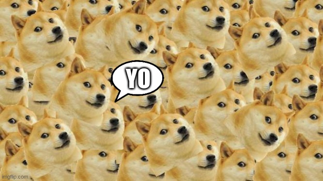 Yo | YO | image tagged in memes,multi doge | made w/ Imgflip meme maker