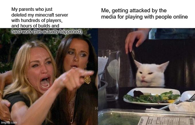 Please leave an upvote if you show support for me | My parents who just deleted my minecraft server with hundreds of players, and hours of builds and hard work (this actually happened); Me, getting attacked by the media for playing with people online | image tagged in memes,woman yelling at cat | made w/ Imgflip meme maker