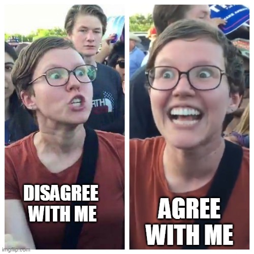 Triggered | DISAGREE      WITH ME; AGREE WITH ME | image tagged in triggered hypocrite feminist | made w/ Imgflip meme maker