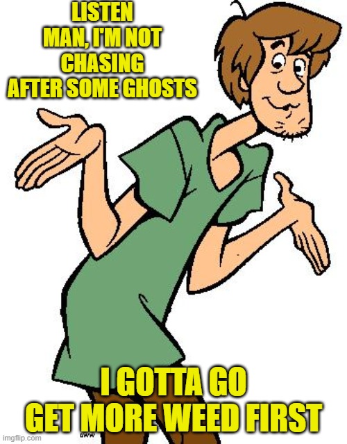 Shaggy Always Smokin' That Dank |  LISTEN MAN, I'M NOT CHASING AFTER SOME GHOSTS; I GOTTA GO GET MORE WEED FIRST | image tagged in shaggy from scooby doo,shaggy meme,stoner | made w/ Imgflip meme maker