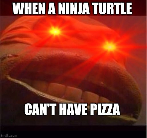 WHEN A NINJA TURTLE; CAN'T HAVE PIZZA | image tagged in teenage mutant ninja turtles | made w/ Imgflip meme maker