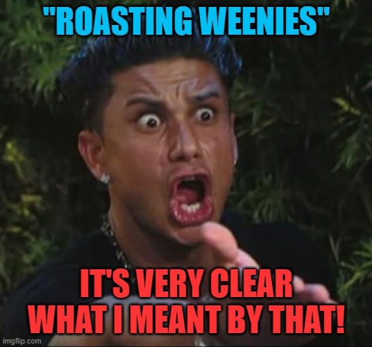 DJ Pauly D Meme | "ROASTING WEENIES" IT'S VERY CLEAR WHAT I MEANT BY THAT! | image tagged in memes,dj pauly d | made w/ Imgflip meme maker