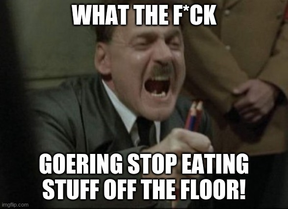 Hitler | WHAT THE F*CK; GOERING STOP EATING STUFF OFF THE FLOOR! | image tagged in hitler downfall | made w/ Imgflip meme maker