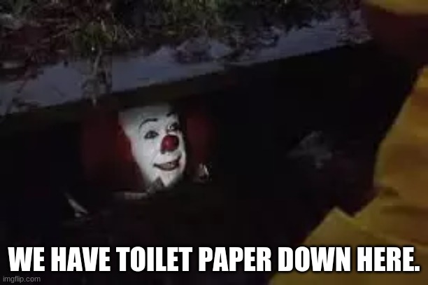 Isiah Dahl | WE HAVE TOILET PAPER DOWN HERE. | image tagged in funny | made w/ Imgflip meme maker