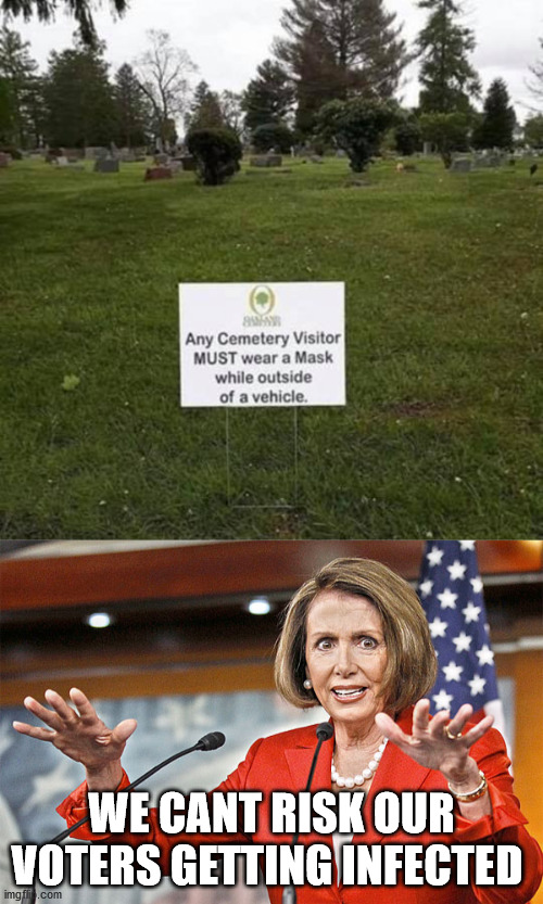 every vote counts | WE CANT RISK OUR VOTERS GETTING INFECTED | image tagged in nancy pelosi is crazy,vote,covid-19,mask | made w/ Imgflip meme maker