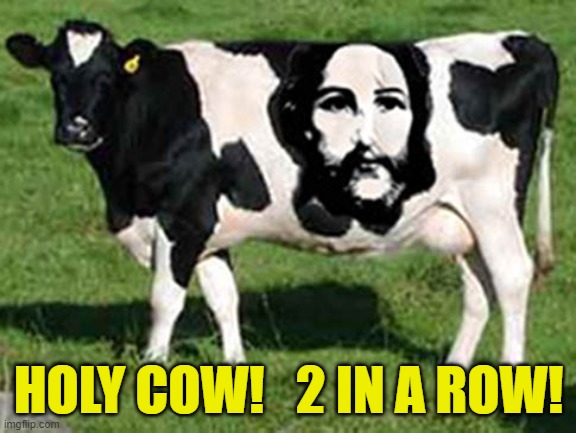 HOLY COW!   2 IN A ROW! | image tagged in 2 in a row,holy cow | made w/ Imgflip meme maker